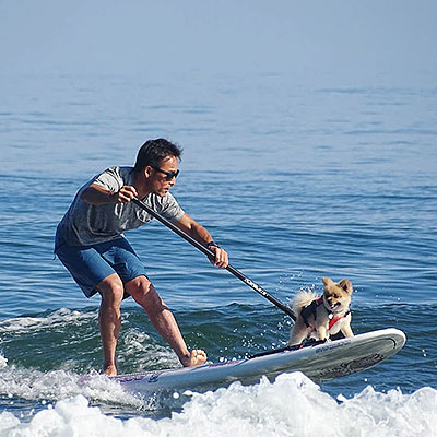 SUPをする人とペット